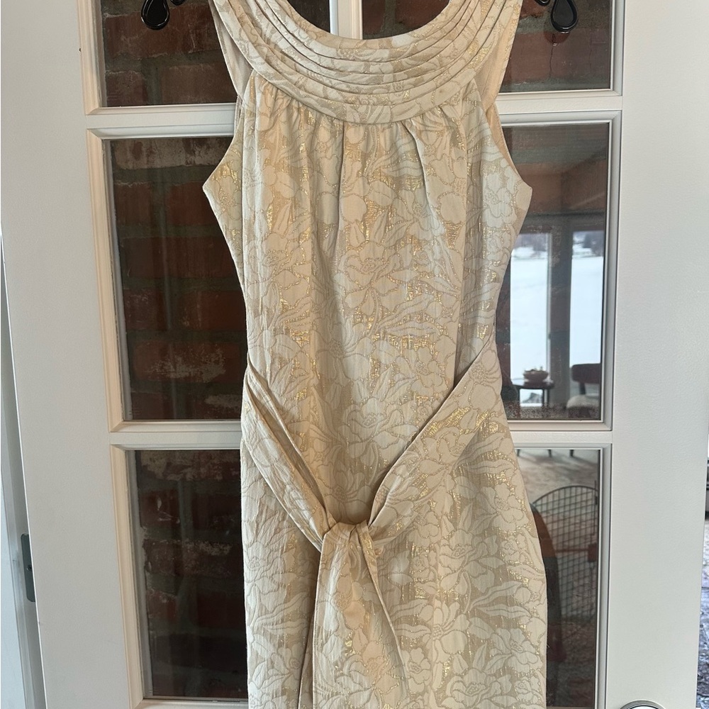 Etcetera Champagne Dress & Shall